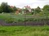 plantations dans jardin potager
